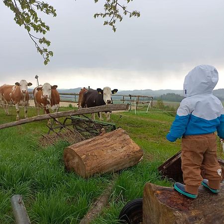 Ferienwohnung Im Muehlviertler Panorama Vierseithof Lembach im Mühlkreis Eksteriør billede
