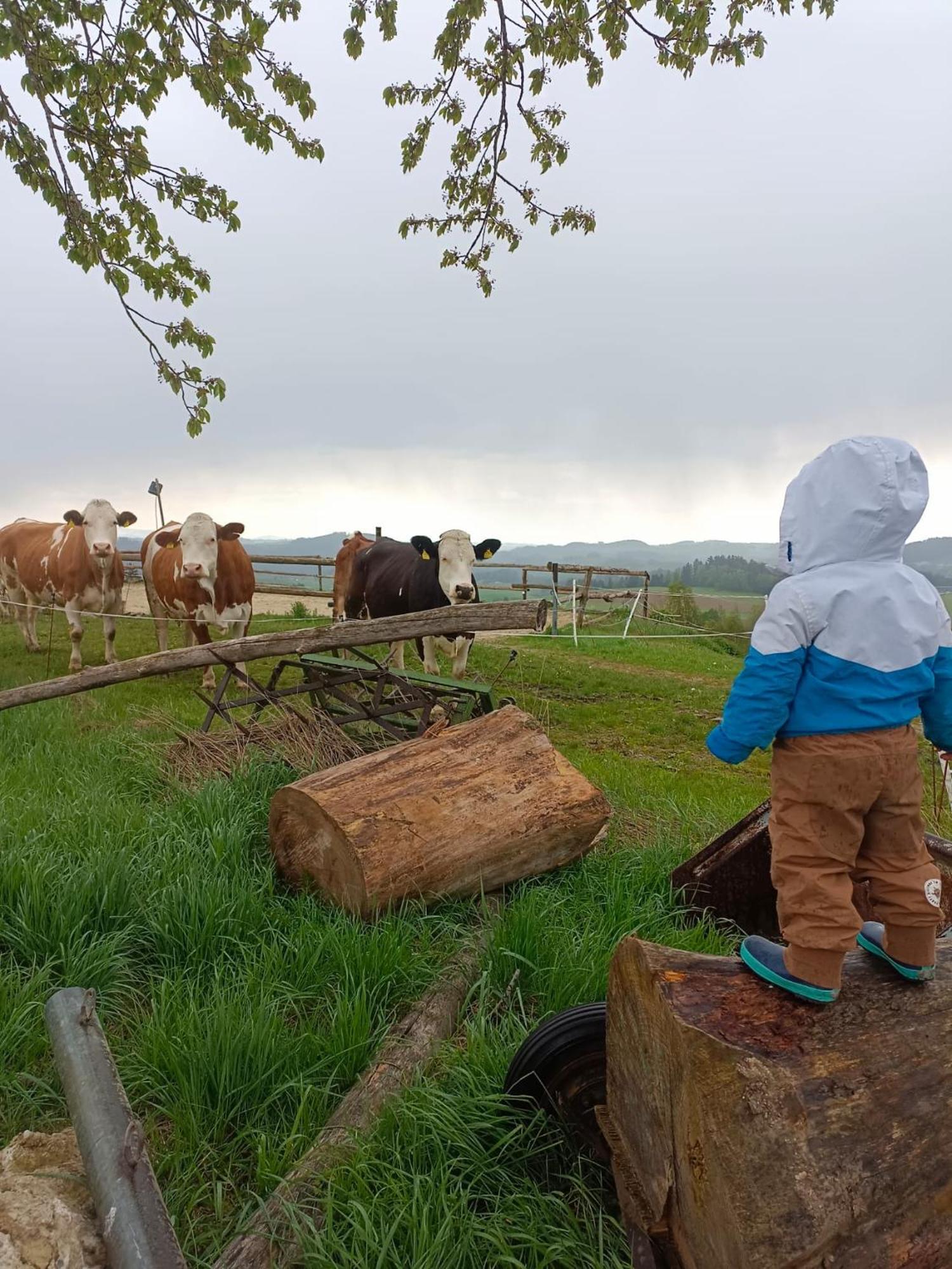 Ferienwohnung Im Muehlviertler Panorama Vierseithof Lembach im Mühlkreis Eksteriør billede